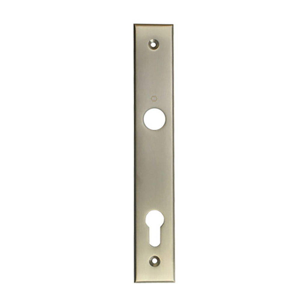HOPPE Dallas Interior Backplate M2161N for Active/Inactive Handlesets - Satin Nickel - HOPPE Dallas Interior Backplate M2161N for Active/Inactive Handlesets - Satin Nickel
