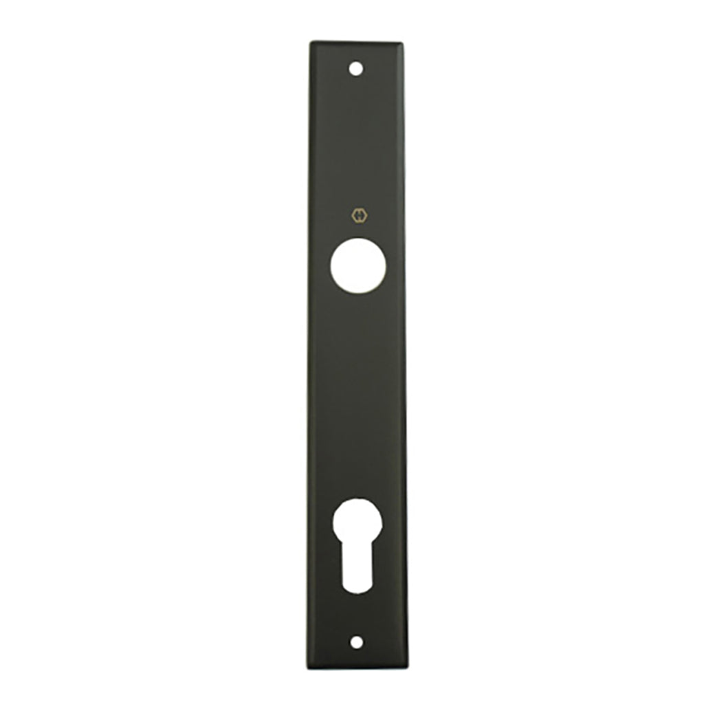 HOPPE Dallas Interior Backplate M2161N for Active/Inactive Handlesets - Matte Black - HOPPE Dallas Interior Backplate M2161N for Active/Inactive Handlesets - Matte Black