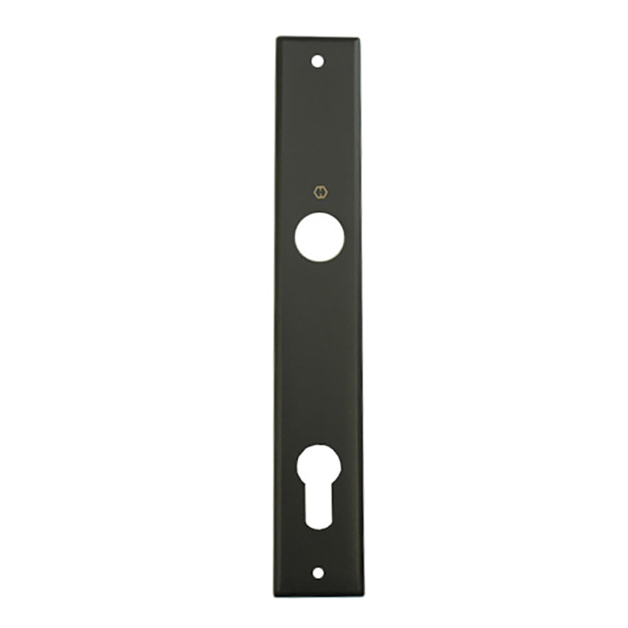 HOPPE Dallas Interior Backplate M2161N for Active/Inactive Handlesets - Matte Black - HOPPE Dallas Interior Backplate M2161N for Active/Inactive Handlesets - Matte Black