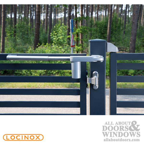 180 Degree 3-Way Locinox Ornamental Hinge Pair - 180 Degree 3-Way Locinox Ornamental Hinge Pair