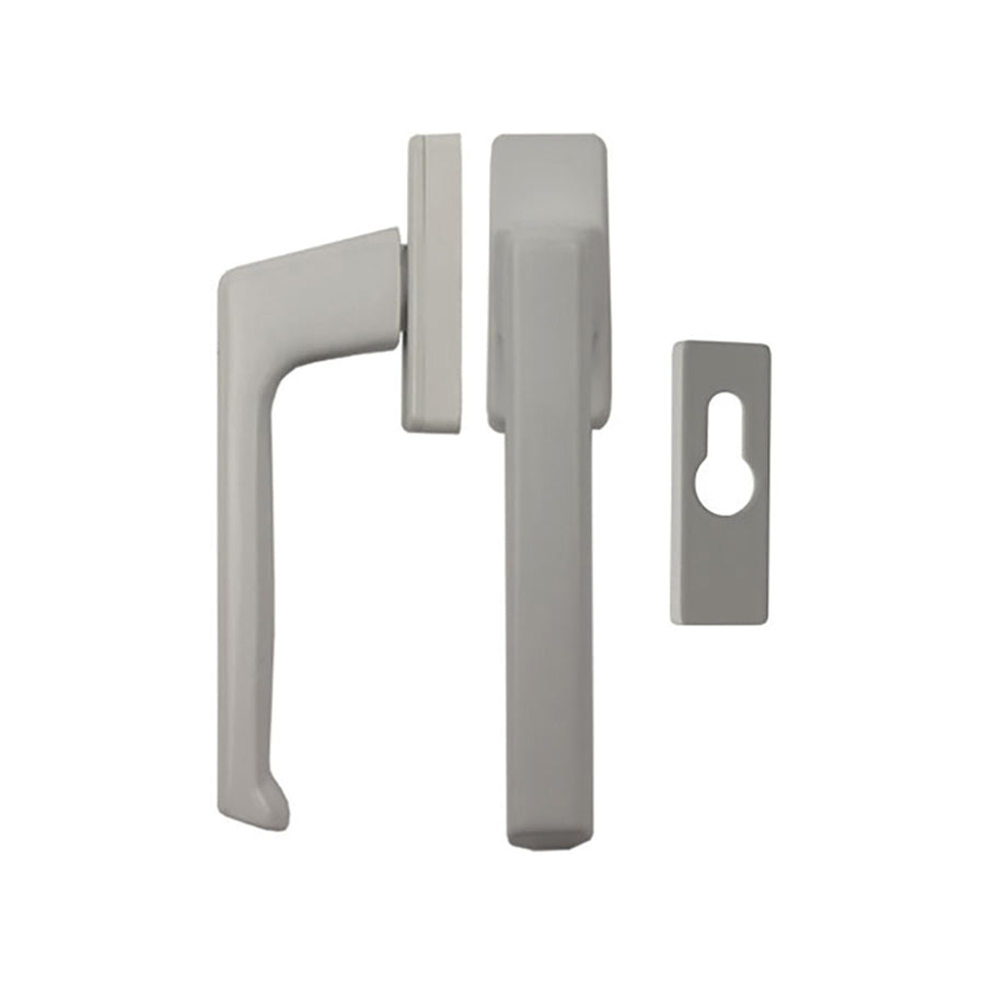 Regular interior/ Flat exterior Dirigent handle + PC Rosettes - Regular interior/ Flat exterior Dirigent handle + PC Rosettes