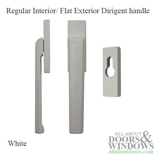 Regular interior/ Flat exterior Dirigent handle + PC Rosettes - Regular interior/ Flat exterior Dirigent handle + PC Rosettes