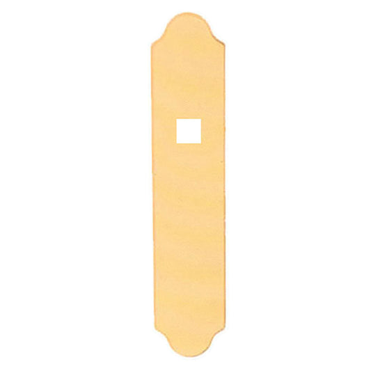 Exterior Back Plate, M3965N, 2" x 10", Fixed Dummy - Resista Polished Brass