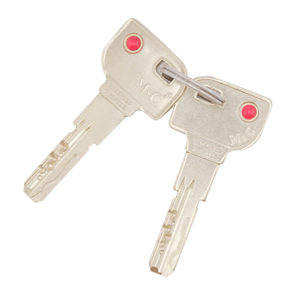 TEDEE Profile Cylinder for European Multipoint Locks Silver - TEDEE Profile Cylinder for European Multipoint Locks Silver