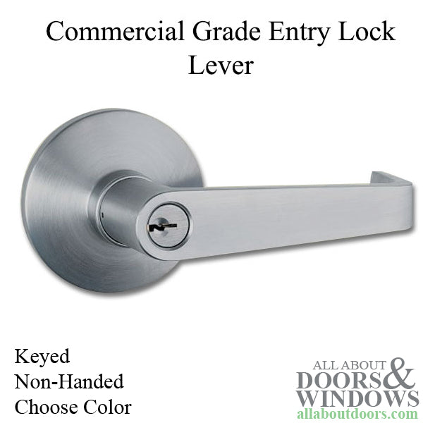 Commercial Grade 2 Keyed Entry Lock with ADA Lever  for Exit Device - Commercial Grade 2 Keyed Entry Lock with ADA Lever  for Exit Device