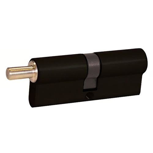 Rekeyable Euro Style Cylinders - 76mm - Rekeyable Euro Style Cylinders - 76mm