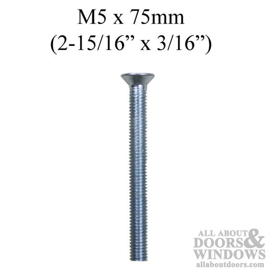 Screw, 2-15/16 inch Steel Screw, Ferco /G-U