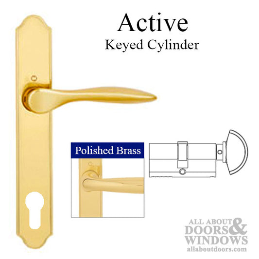 New Orleans M1610/374N Active Handle Set – Resista Brass Finish – Hoppe