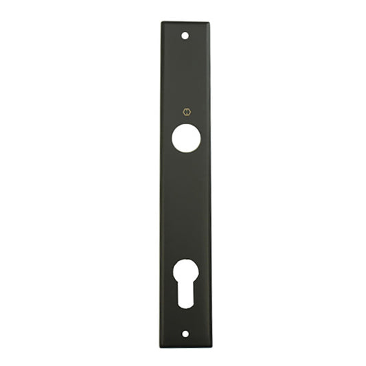 HOPPE Dallas Interior Backplate M2161N for Active/Inactive Handlesets - Matte Black