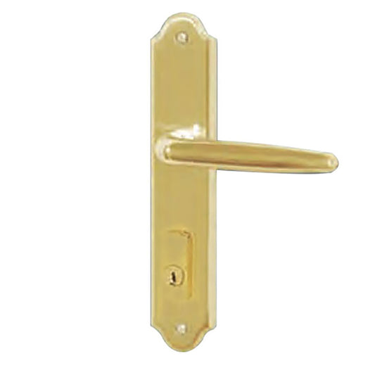G-U Torino Handle & 45mm Plate, Active, Key & Thumbturn (Handle Above Cylinder) Choose Color