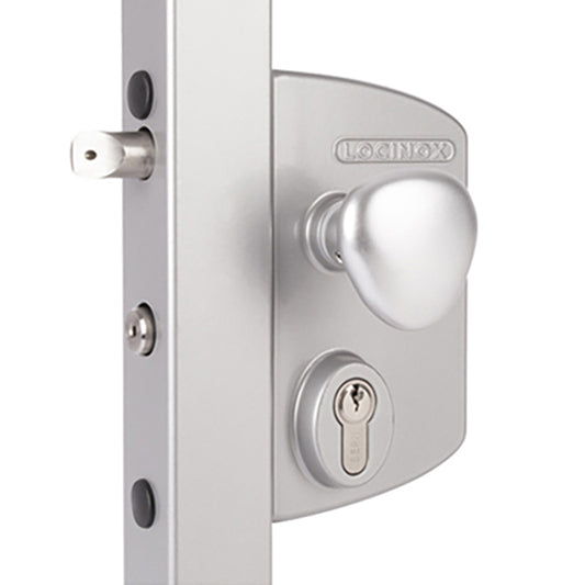 Surface-Mounted Locinox Electric Gate Lock with Fail Open Functionality