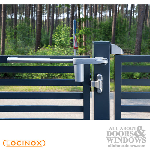 180 Degree 3-Way Locinox Ornamental Hinge Pair - 180 Degree 3-Way Locinox Ornamental Hinge Pair