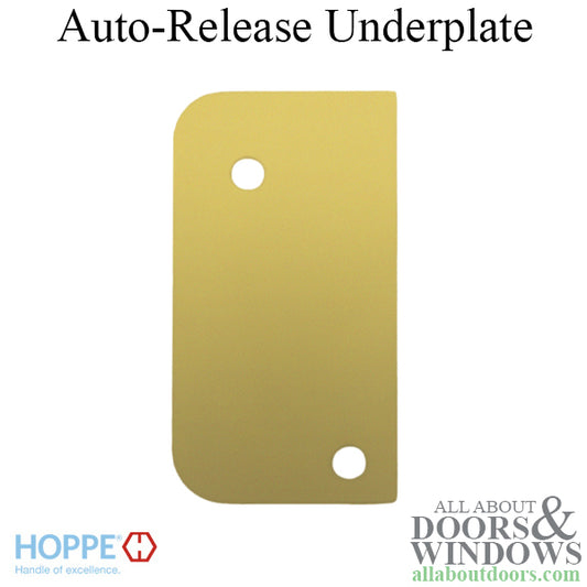 Strike Plate, RU1, Auto-Release Underplate 1.30 x 2.40 - Brass