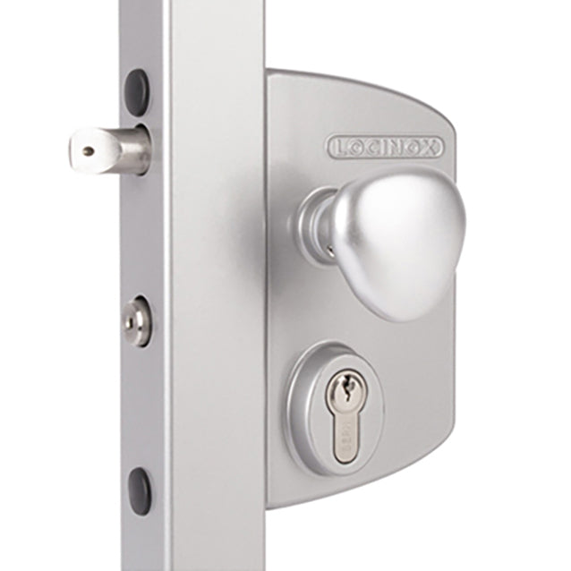 Surface-Mounted Locinox Electric Gate Lock with Fail Open Functionality - Surface-Mounted Locinox Electric Gate Lock with Fail Open Functionality