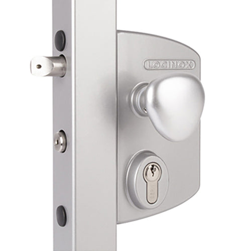 Surface-Mounted Locinox Electric Gate Lock with Fail Open Functionality - Surface-Mounted Locinox Electric Gate Lock with Fail Open Functionality