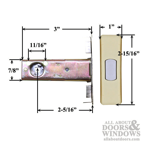 Snap-In Keyed Double Cylinder Deadbolt Lock - Polished Brass - Snap-In Keyed Double Cylinder Deadbolt Lock - Polished Brass