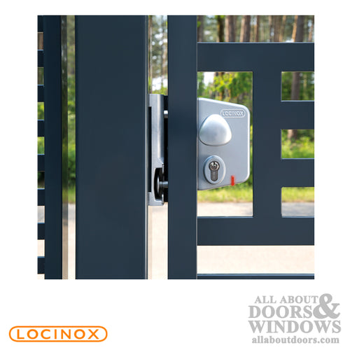 Surface-Mounted Locinox Electric Gate Lock with Fail Open Functionality - Surface-Mounted Locinox Electric Gate Lock with Fail Open Functionality