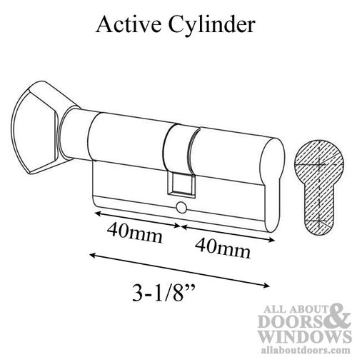 STV Euro Traditional Plate, Fontana Lever  2-1/4 door - Brass PVD - STV Euro Traditional Plate, Fontana Lever  2-1/4 door - Brass PVD